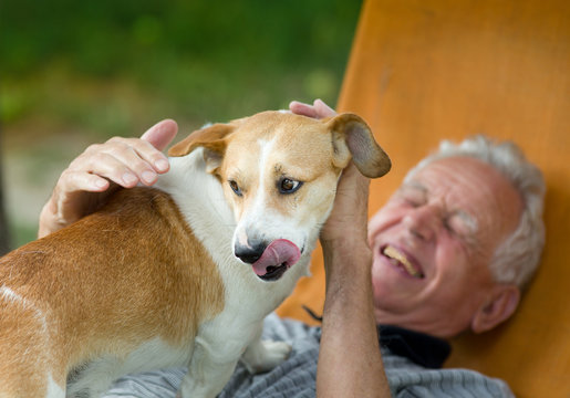 Senior Man With Dog