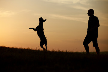 Hund und Herrchen als Silhouette bei Sonnenuntergang