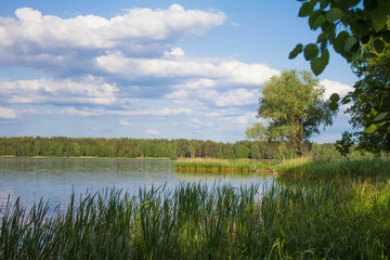 Beautiful lake view / Beautiful view to the lake at Belarussian forest 
