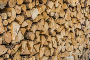 Brennholztrocknung