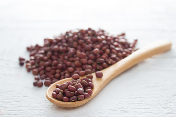 Bean seed