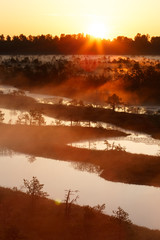 Sunrise in bog