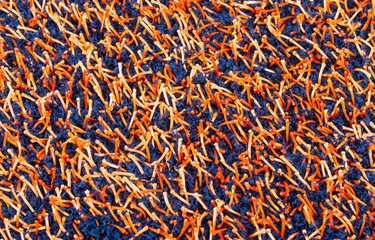 Close up blue and orange carpet on a floor
