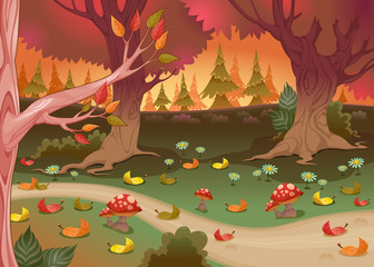 Naklejka premium Natural landscape in the wood