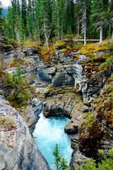 Gorge at Athabasca Falls in Jasper National Park