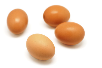 Egg on white background