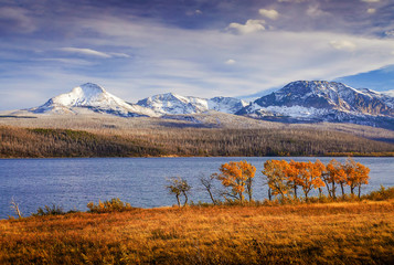 Beautiful autumn colors of Going to the Sun Road in Glacier National Park, Montana, United States