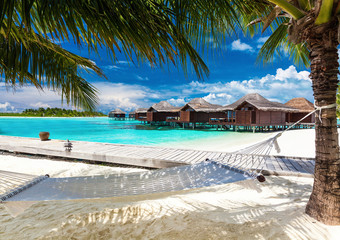 Hammock between palm trees on tropical beach