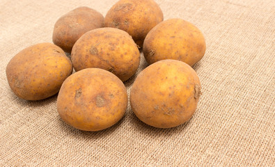 potatoes on the background of the canvas