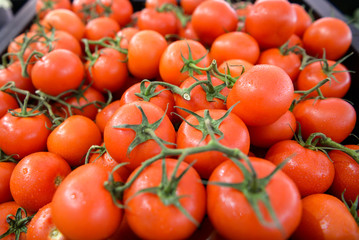 red tomatoes