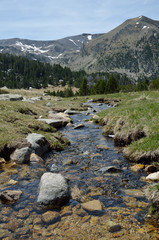 Spring in the Madriu-Perafita-Claror valley