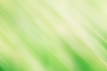 Abstract green and white  background