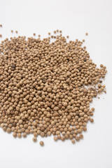 pepper isolated on white background