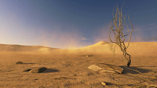Sunset in a desert with dead trees on foreground