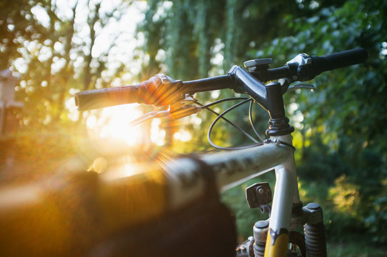 Mountain bike in the forest on sunset