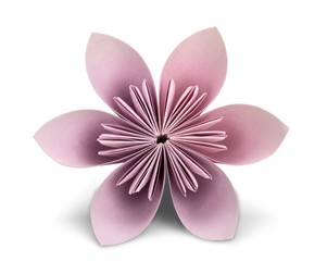 Origami, flower, paper.