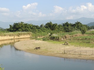 Une rivière et paysage naturel laotien