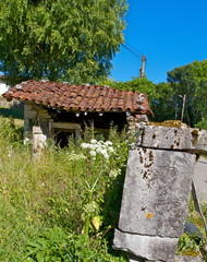MAISON JARDIN RUINE