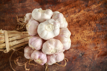 Garlic organic on wooden background