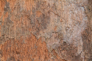 Old wood  background