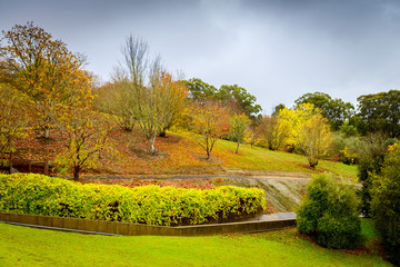 Autumn Landscape. Park in Autumn.