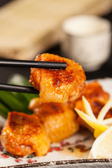 Japanese food material