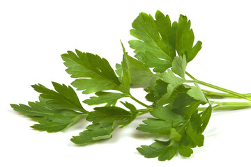 fragrant sprig of parsley