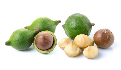 macadamia nuts on white background