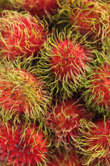 Fresh and sweet Lambutan