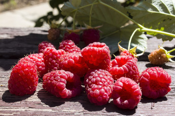 pile of bright juicy raspberries on wood