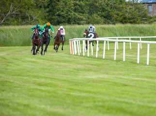 Race horses coming in on the home straight