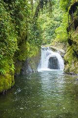 Fototapeta premium Waterfall of Nambillo river, Mindo (Ecuador)