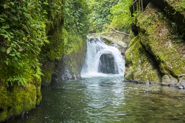 Foto op Plexiglas Waterfall of Nambillo river, Mindo (Ecuador) © Noradoa