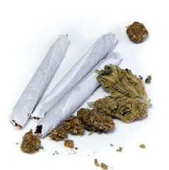 three joints and pot buds