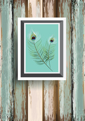 peacock feater on wood background