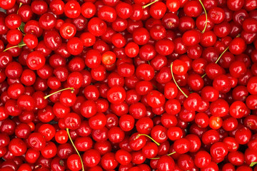 Red Cherries. Background.