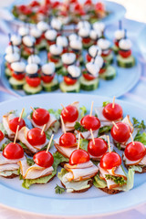 Different snakes on white plates.