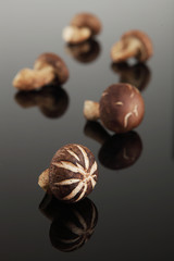 Shiitake Mushroom, Chinese mushroom