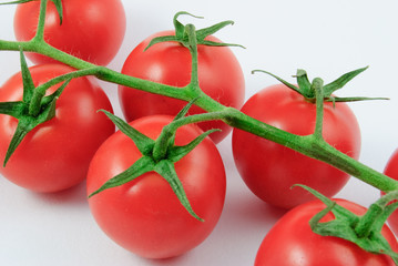 Sieben Rispentomaten (Solanum lycopersicum)