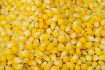 Boiled seed corn