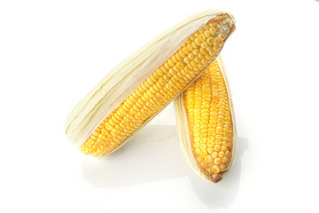 Corn