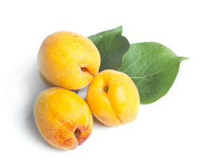  apricot fruit