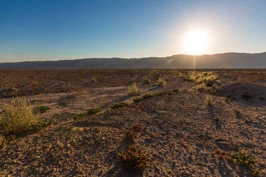 Negev desert landscape