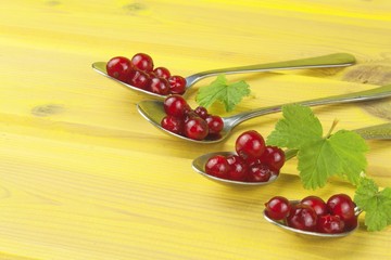 Coffee spoon with red currants on a yellow wooden table. Preparing for home baking currant dessert.
