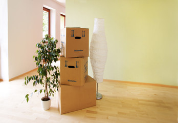 Umzug in die neue Traumwohnung - Umzugskartons, Stehlampe, Blumenstock, leere Wohnung