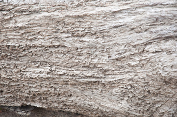 wood structure brown background