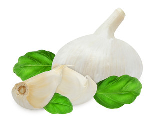 Head of garlic and cloves with fresh green basil leaves isolated on white background. Design element for product label.