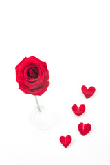 Obraz na płótnie Canvas red rose with rose petal