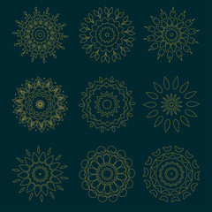 set of circles pattern with leaf and floral concept 