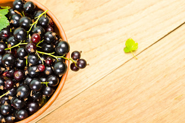 black currants in a plate
